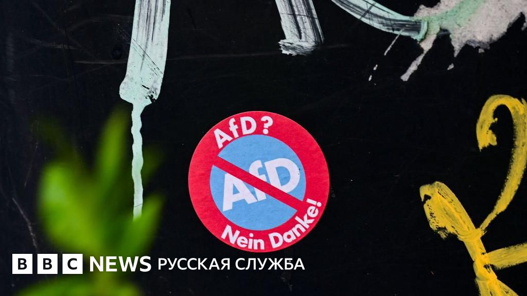 Суд в Германии может признать партию «Альтернатива для Германии ...
