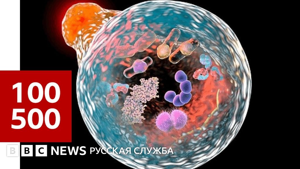 Ножницы для ДНК. За что дали Нобелевскую премию по химии? - BBC News ...