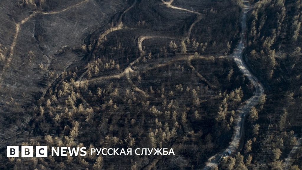 В Турции упал самолет, тушивший пожары. Погибли пятеро россиян - BBC ...