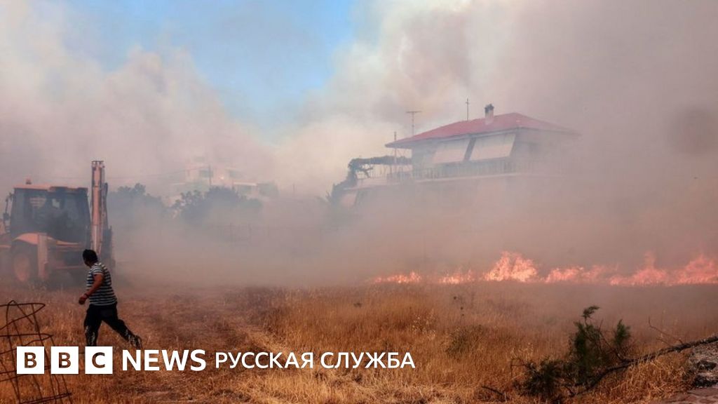 От Тенерифе до Греции - в Европе бушуют лесные пожары. Фото - BBC News ...