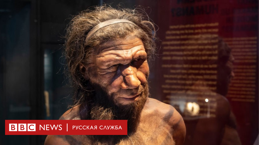 Neandertal y sapiens diferencias