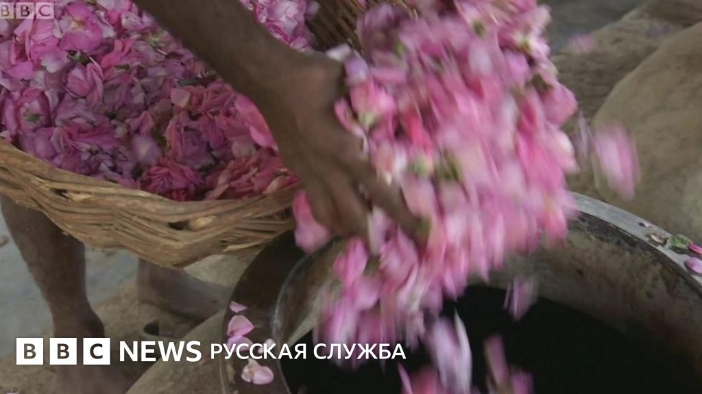 Как в Индии создают духи, которые ни на что не похожи - BBC News ...