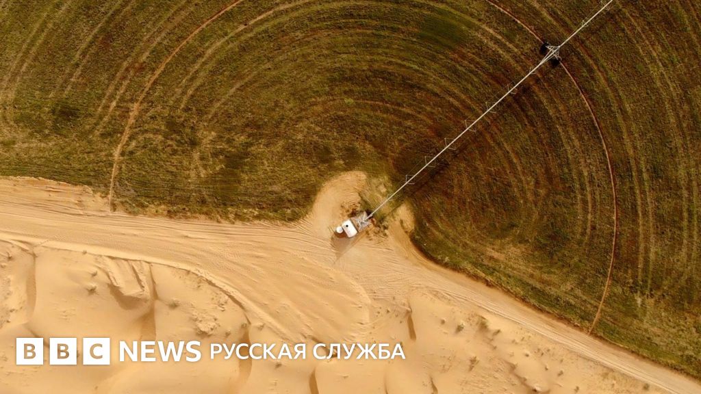 Можем ли мы озеленить пустыни? И нужно ли это делать?