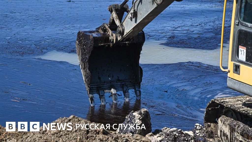 Собирают нефть экскаватором: как в Туапсе справляются с экологической катастрофой