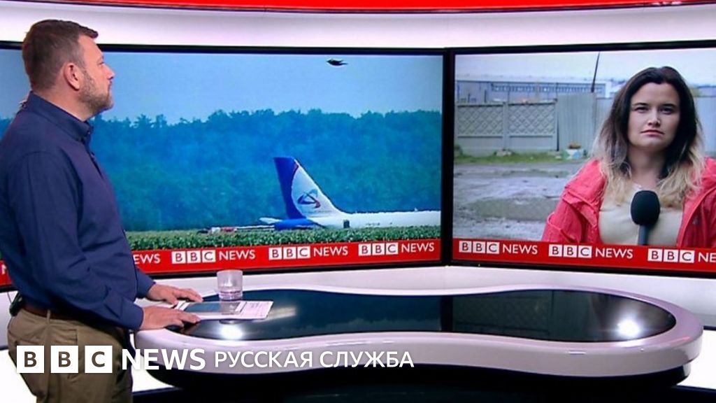 ТВ-Новости: откуда взялись чайки, которые сбили самолет в Жуковском ...