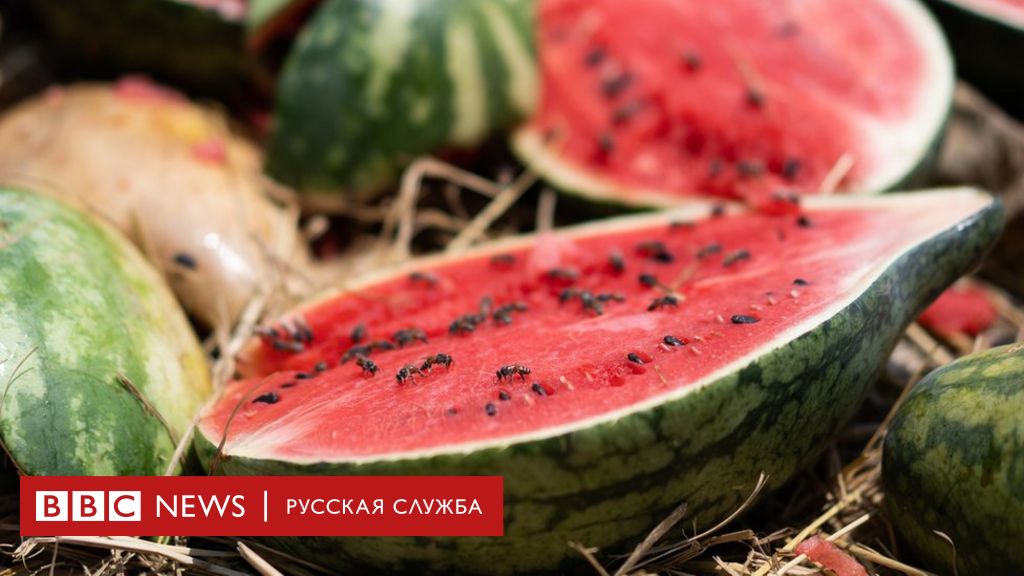 Арбуз разбитый