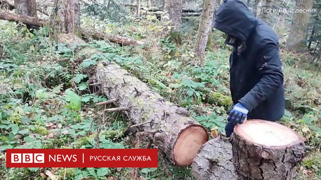 Изнасилование в лесу: бесплатные секс ролики онлайн