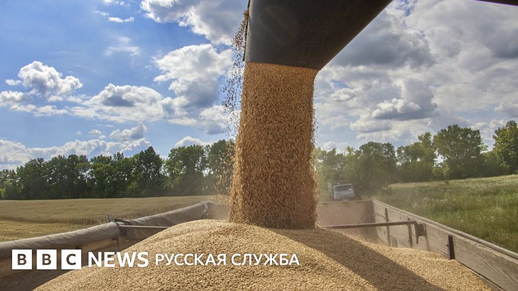 "Зерновая сделка" по экспорту украинского продовольствия продлена на ...