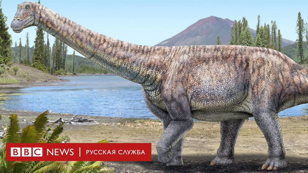 Ученые Чили утверждают, что нашли новый вид титанозавра