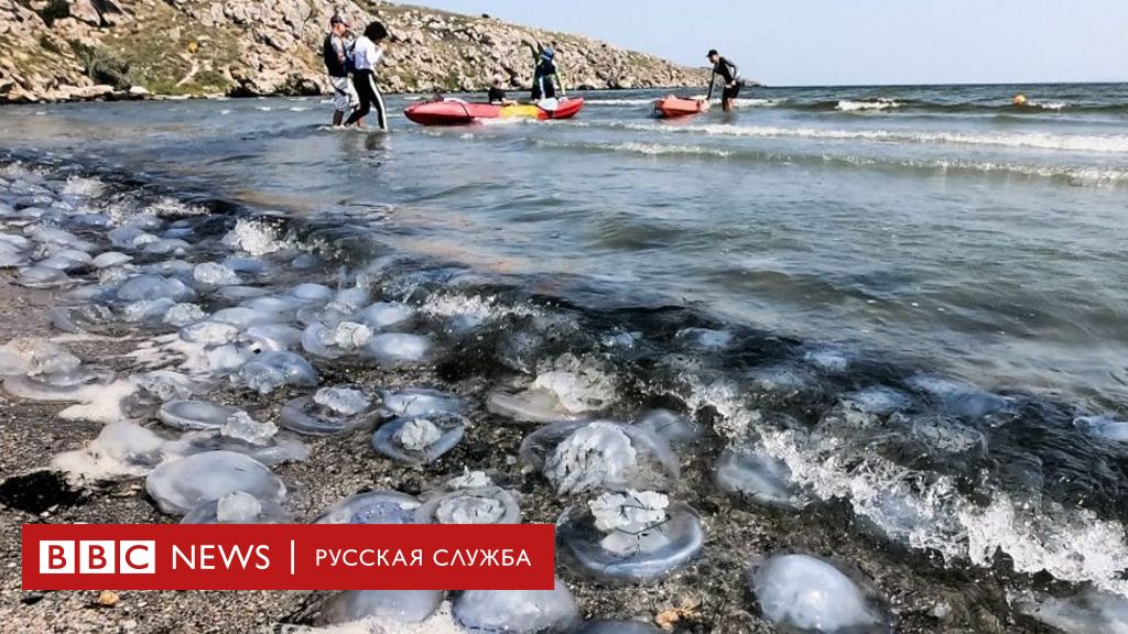 Отдых на Азовском море в году: курорты, пляжи, куда лучше поехать