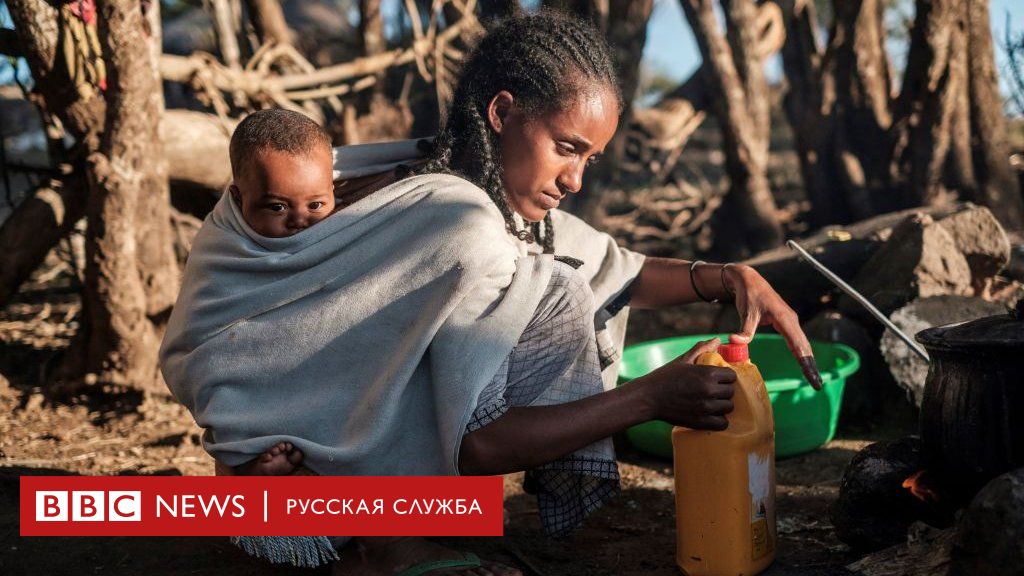 гражданская война в эфиопии 2023