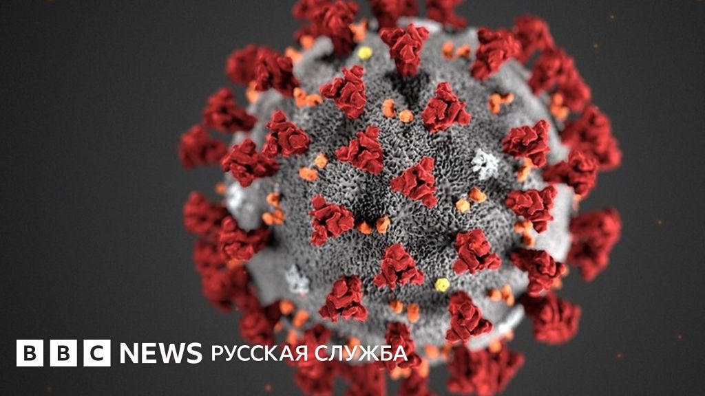 Koronavirusu Dadut Imya Pochemu Luchshe Ne Oshibitsya Pri Ego Vybore Bbc News Russkaya Sluzhba