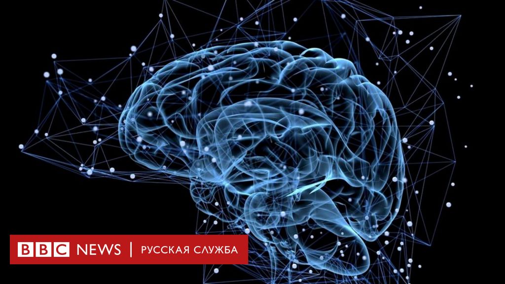 Сколько различий вы видите между двумя картинками brain