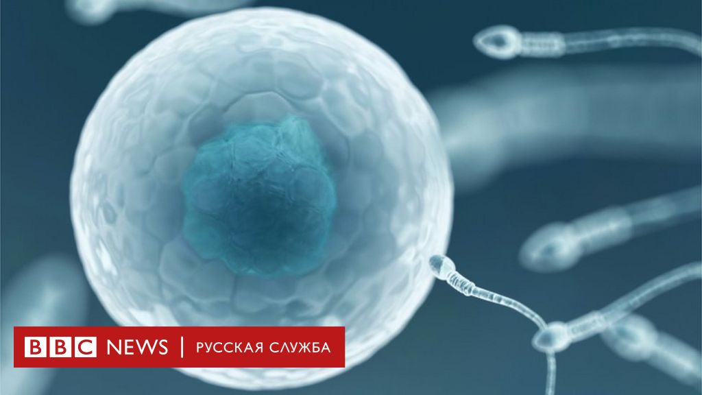 Life.ru: Ручной труд: сколько может заработать донор спермы в России