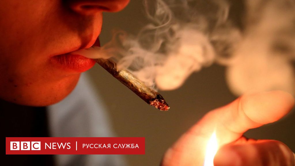 Сколько человек в россии курят марихуану как обмануть анализы на марихуану