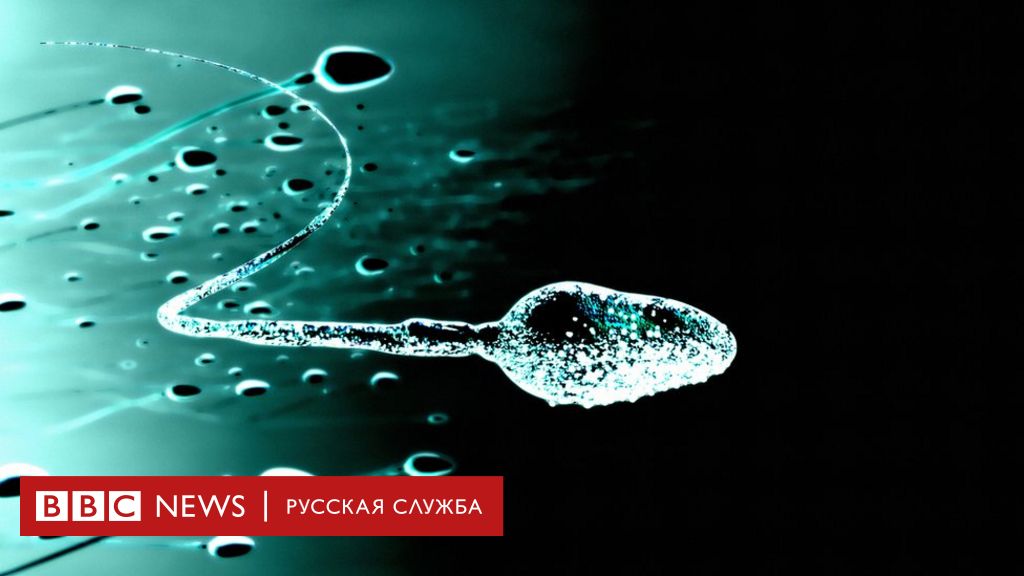 Стать донором спермы в Москве — сколько платят донорам в ? | Клиника «Линии жизни»