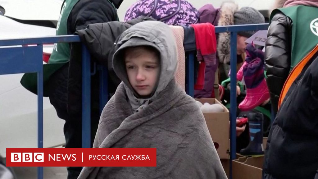 сколько сейчас украинских беженцев в ирландии