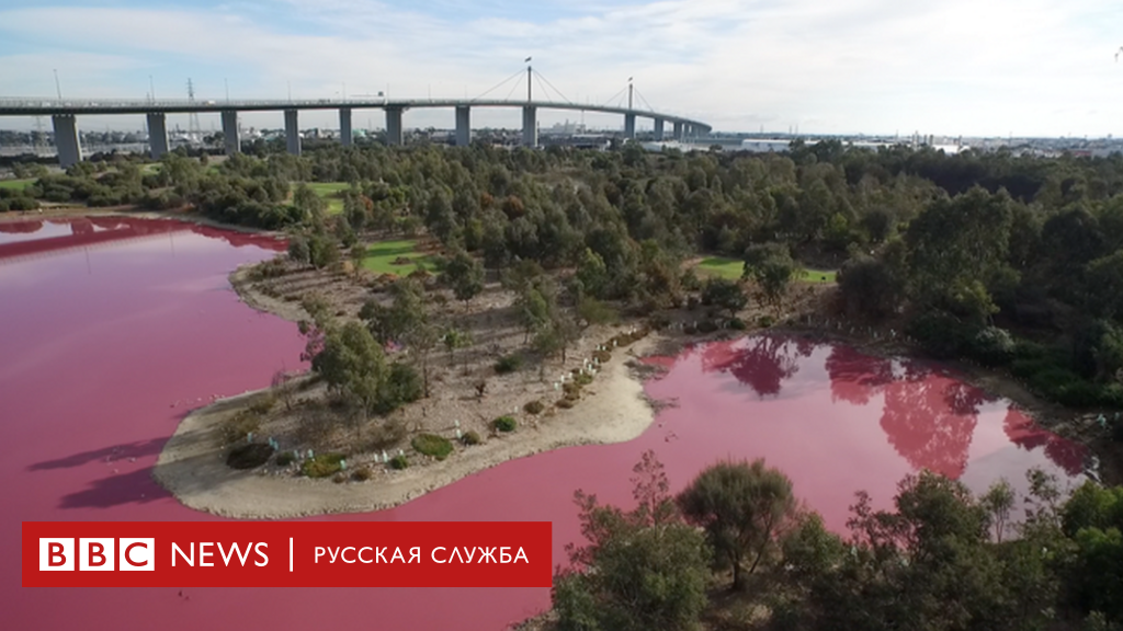 Озеро Хиллиер: тайна розового озера в Австралии