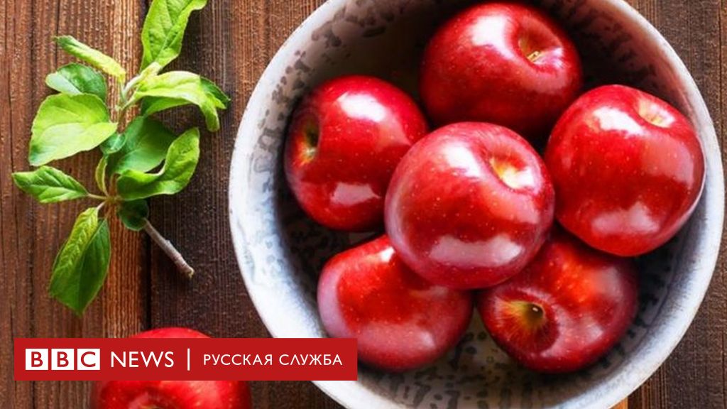 Яблоки Молдавские Сорта С Фото