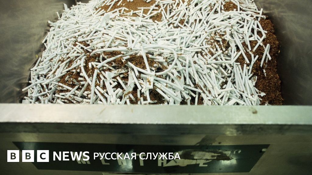 В США собираются запретить сигареты с ментолом. Правозащитники ...