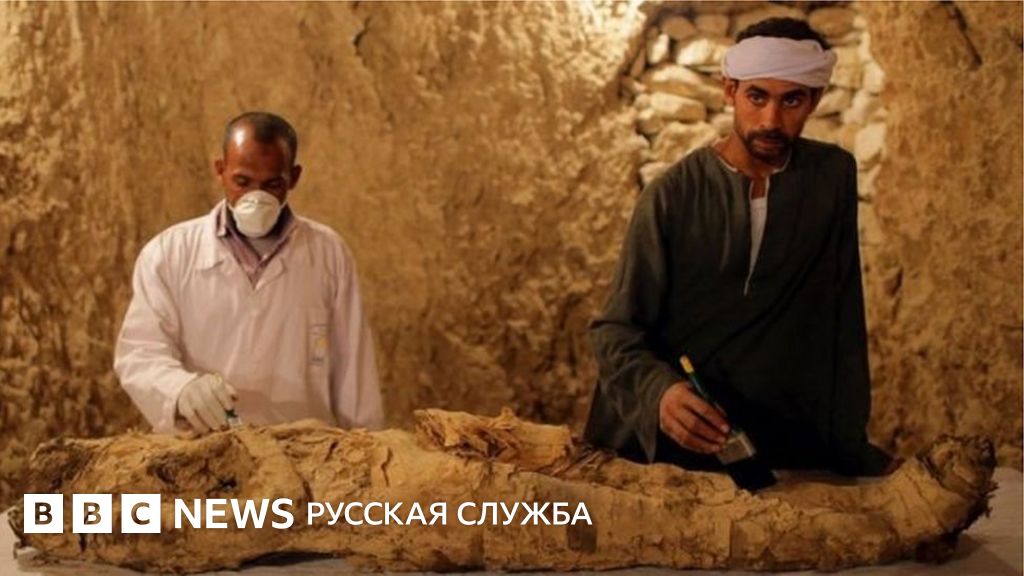 В Египте из гробницы достали мумию возрастом 3,5 тысячи лет - BBC News ...