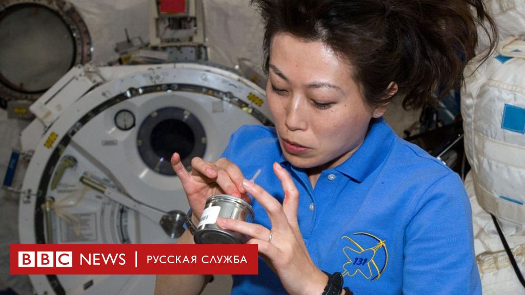 Стейк из 3D принтера вместо тюбиков. Ученые попытаются выращивать еду для астронавтов прямо на орбите