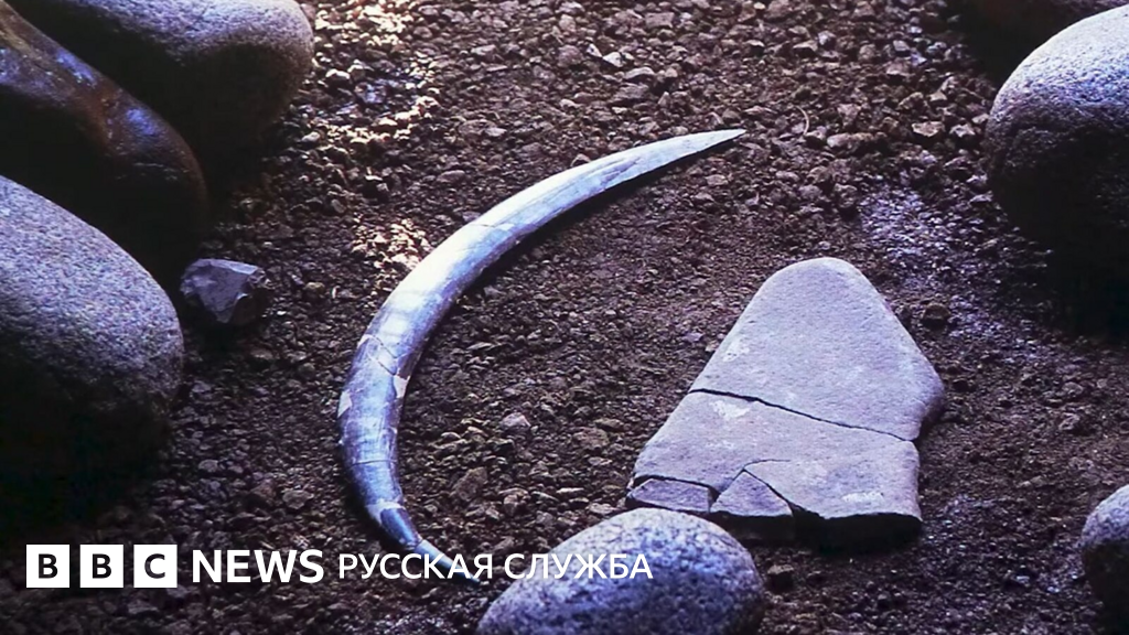 Сенсационное открытие: Возраст бумеранга увеличили на 10 000 лет! Что произойдет, если его бросить?