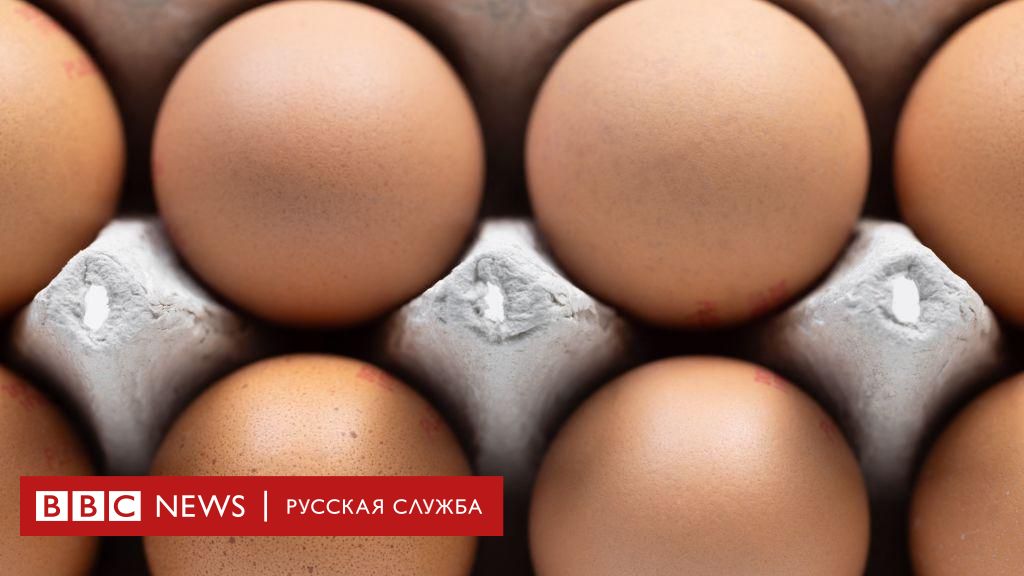 Можно ли кормить кошек яйцами?