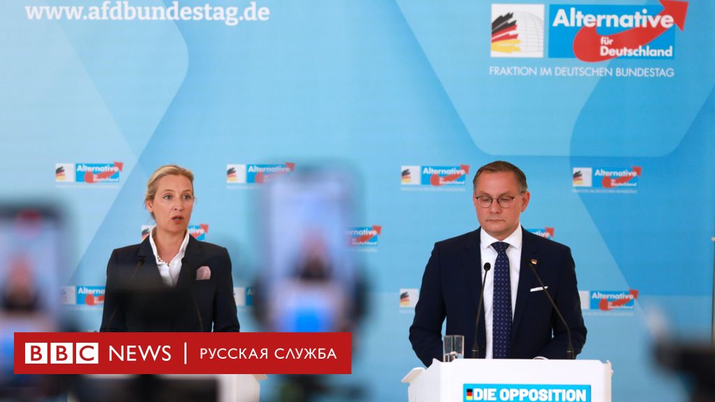 Служба охраны конституции решила не называть «Альтернативу для Германии» экстремистской до решения суда