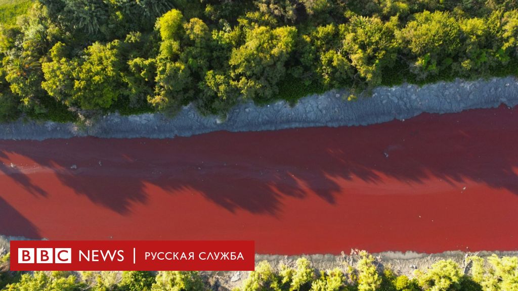 Загадка ярко-красной воды. Канал под Буэнос-Айресом поменял цвет, местные жители встревожены