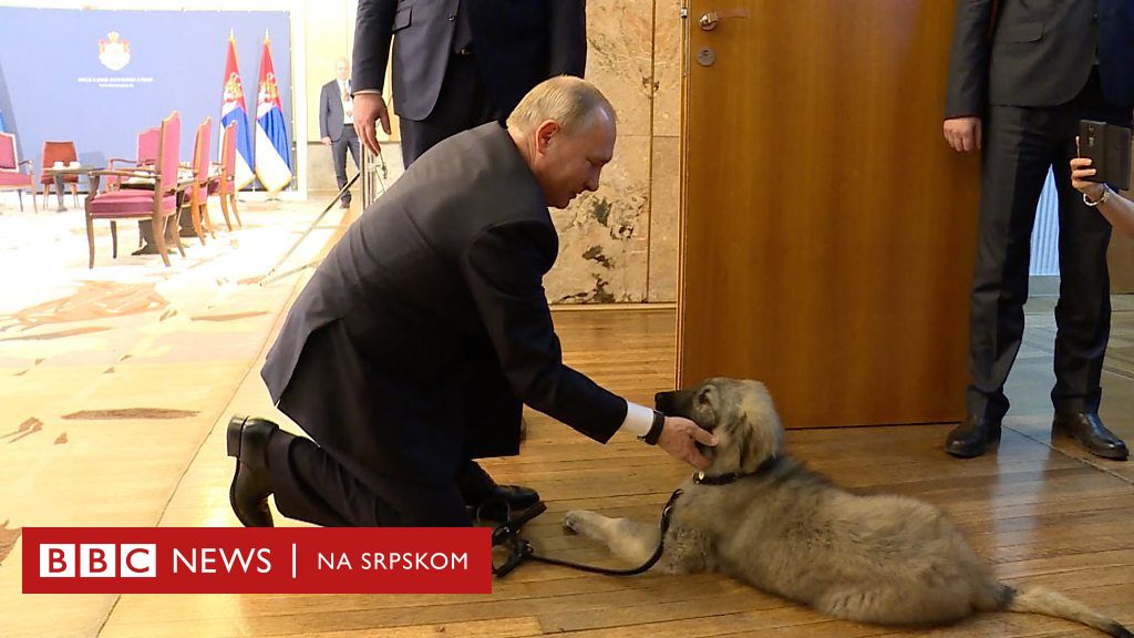 „putindan Osam Sati Vladimira Putina U Beogradu Bbc News Na Srpskom