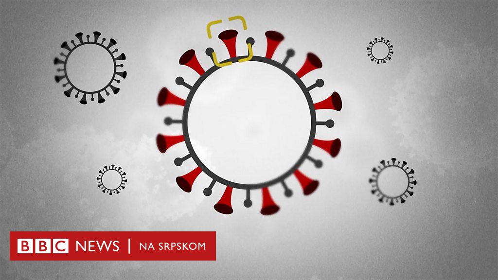 Korona Virus Šta Su Novi Sojevi I Kako Oni Utiču Na Vakcinu Bbc News Na Srpskom 0877