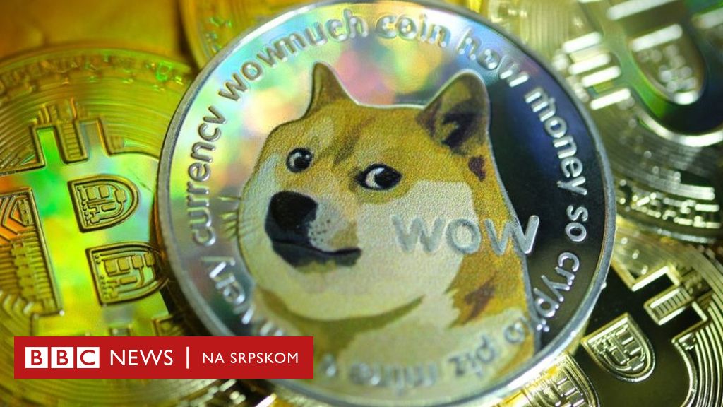 Animali e criptovalute: The Dogecoin Dog si riprende