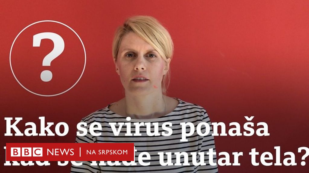 Korona Virus Šta Radi Virus Kad Se Nađe U Telu Bbc News Na Srpskom 