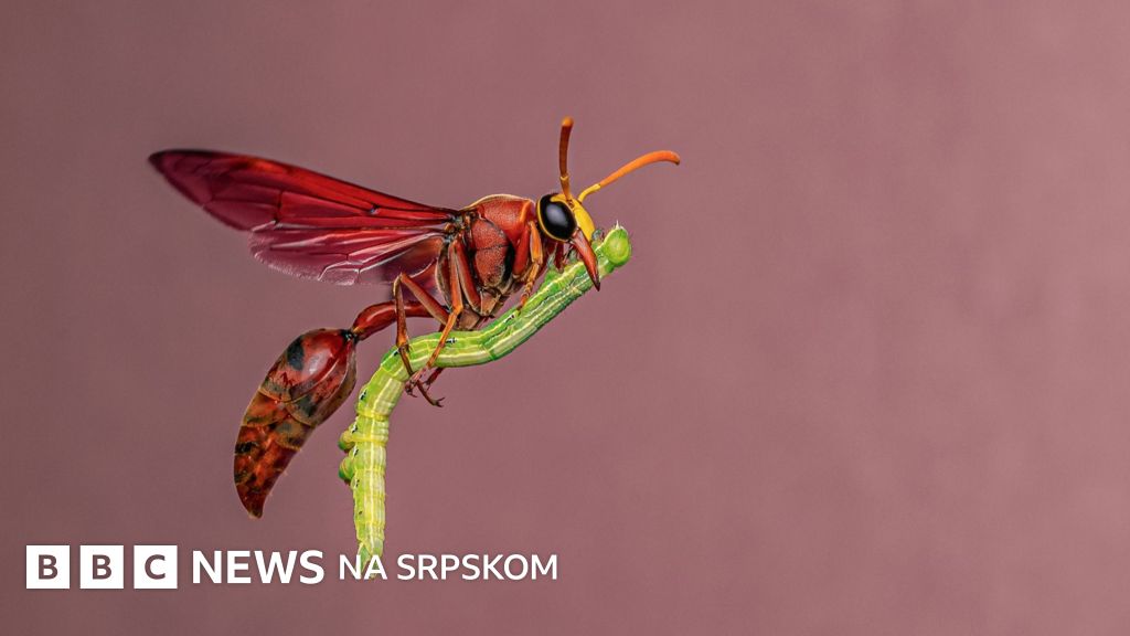 BDSM qattiq cumshot Cheerleader bilan jinsiy aloqa video