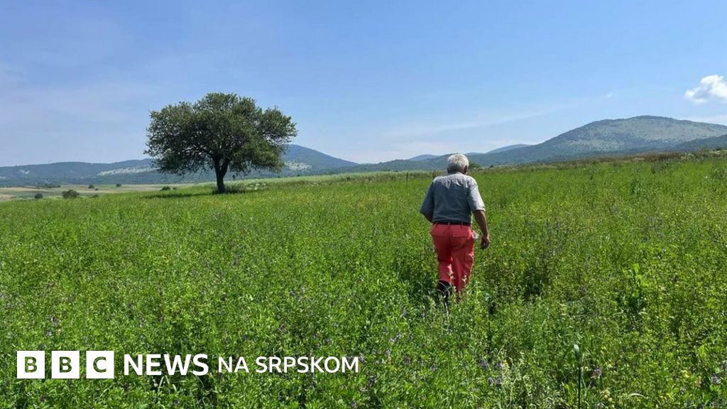 Poljoprivreda i Srbija: Od ‘žitnice Evrope’ do sve manje gazdinstava