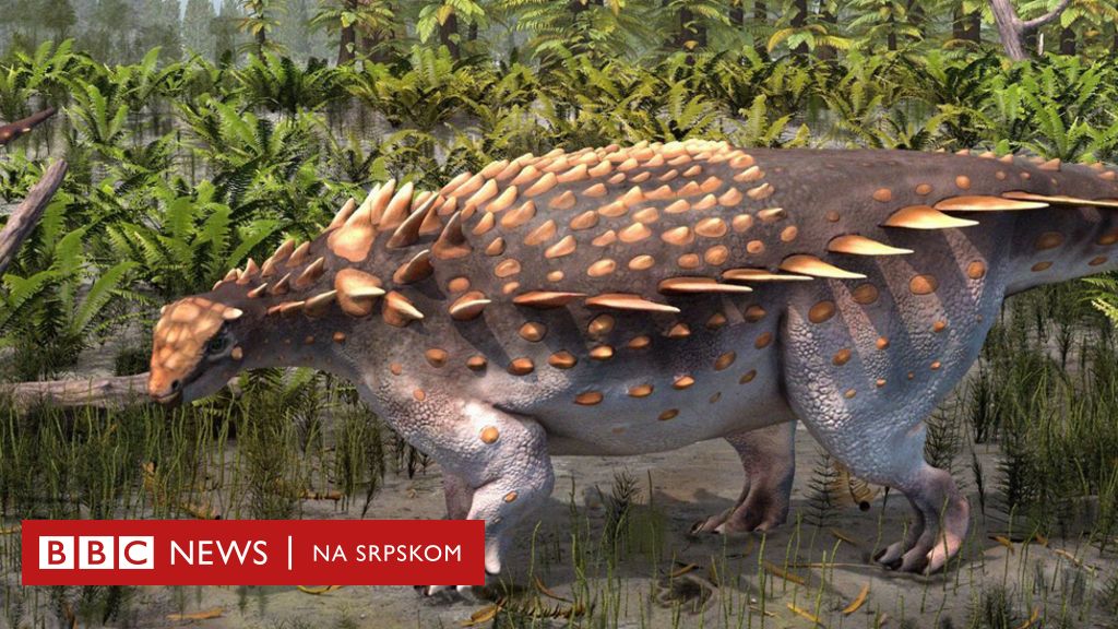 Velika Britanija Otkrivena nova vrsta dinosaurusa na ostrvu Vajt BBC