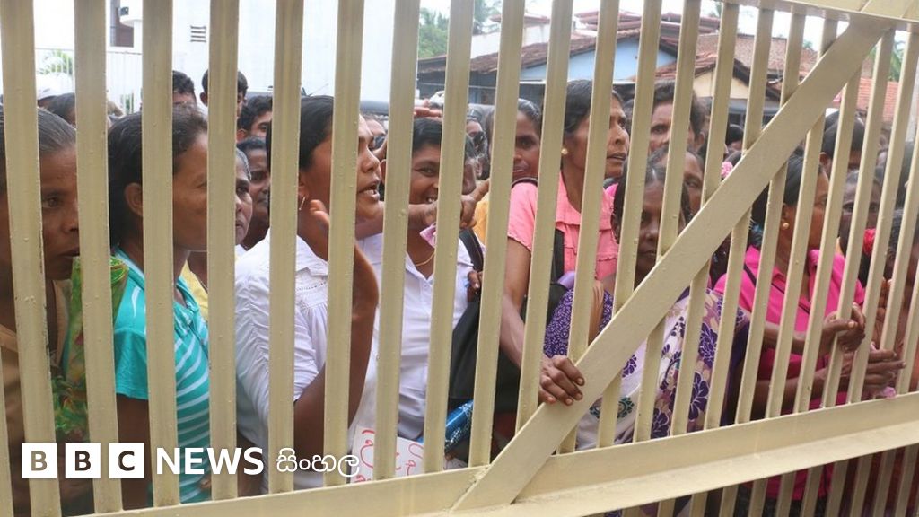 අවම වැටුපටත් අඩු වැටුපක් ලබන වතු කම්කරුවන් උද්ඝෝෂණයක BBC News සිංහල