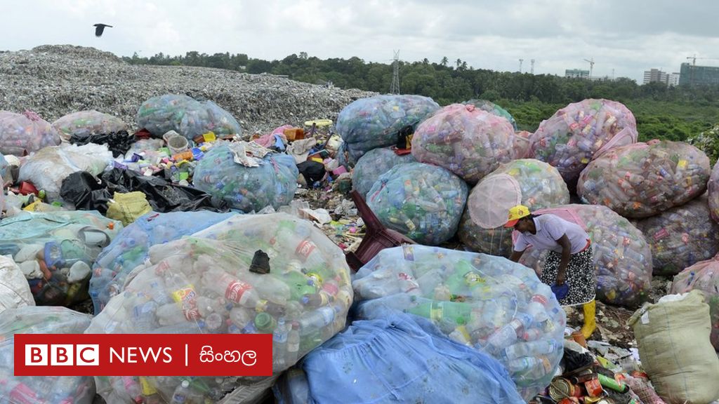 Разложится в естественной среде. Разлагающиеся отходы. Полиэтиленовый пакет в земле разлагается. Биоразложение органических отходов.