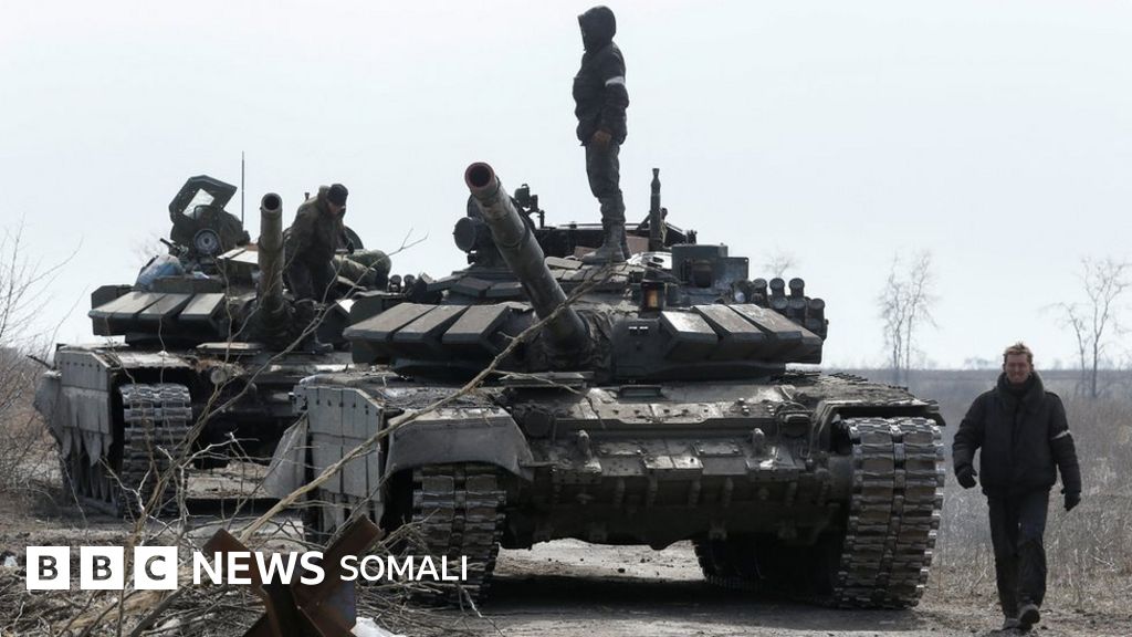 Yotgan holda mushuk ichida becerdin