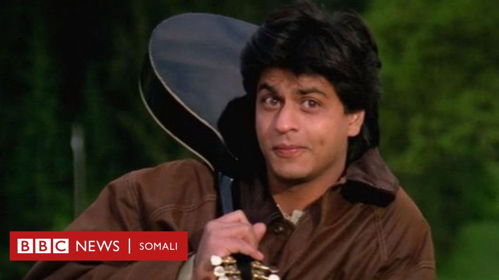 lagu lagu bollywood shahrukh khan