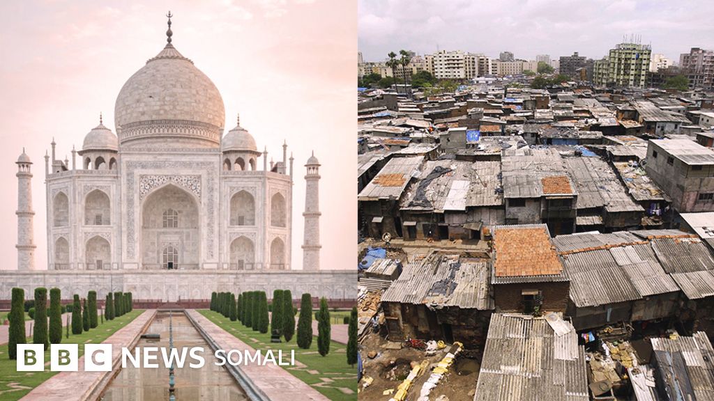 Talabalar kredit uchun jinsiy aloqada bolishadi Saraton kasalligi uchun Kamasutra