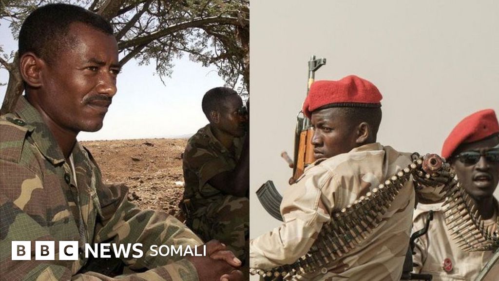 Yetuk ayol mushukini yaladi (porno)