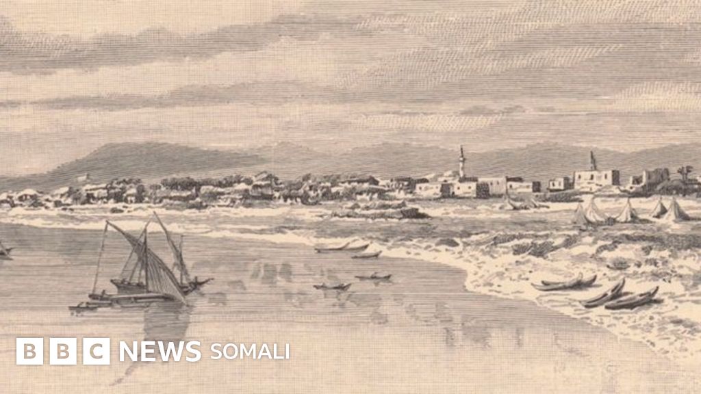 Tebranish eshak porno video Uch marta boglangan porno