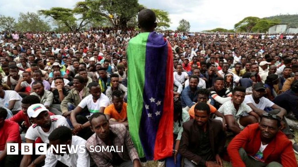 Julianing katta kokraklari va pornosi bor.