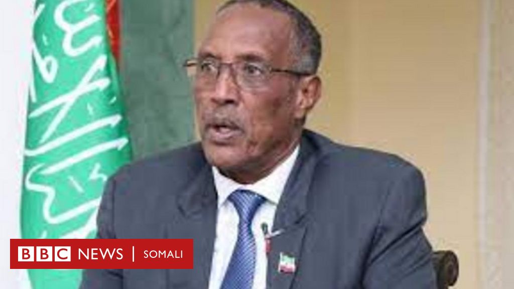 Maxaad U Baahisay Dhaliisha Madaxweynaha Somaliland Ayaan Xabsi Ku