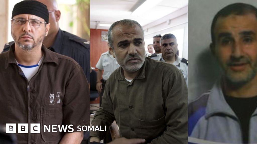 Peche uretra jinsiy olatni Ayolning katta siklari bor