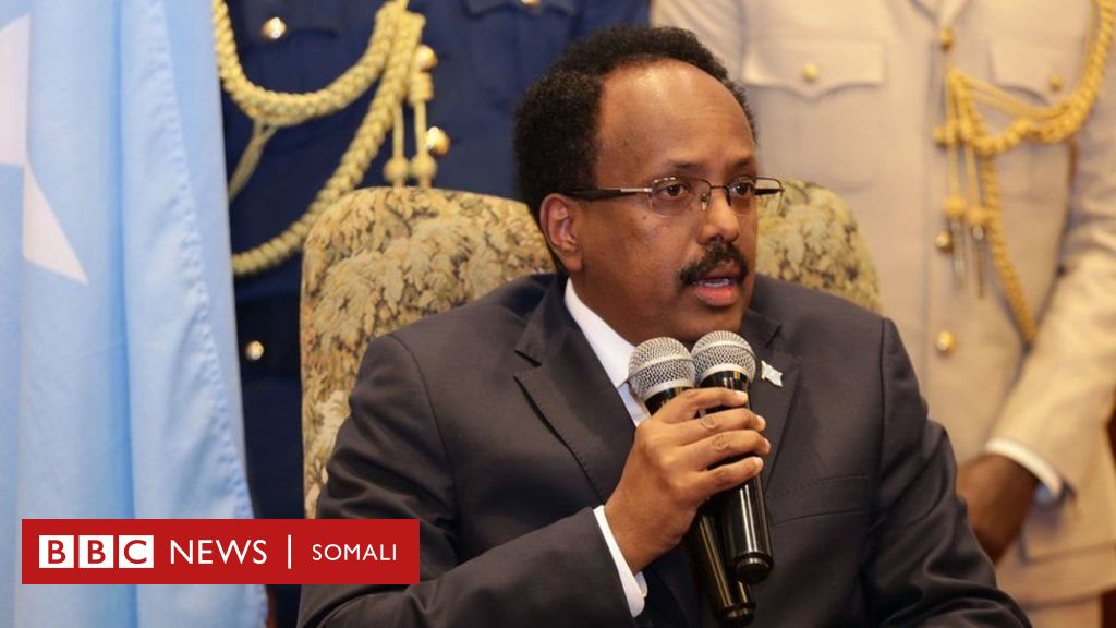 Booliiska Brazil oo fuliyay hawlgal wayn oo ka dhan ah daroogada - BBC News  Somali