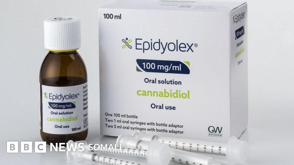 Jinsiy xotinlar va Mavpi Porno filmdagi rus aktrisalari, qoshiqchilari va sportchilari