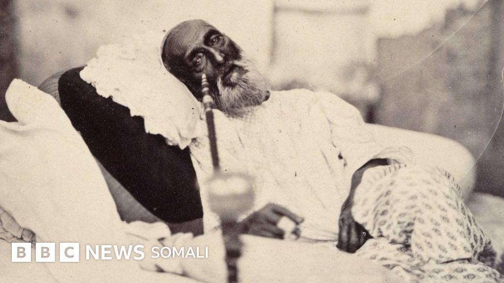 Ingushetiyada pul uchun jinsiy aloqa Er-xotinlar onlayn shaxsiy video